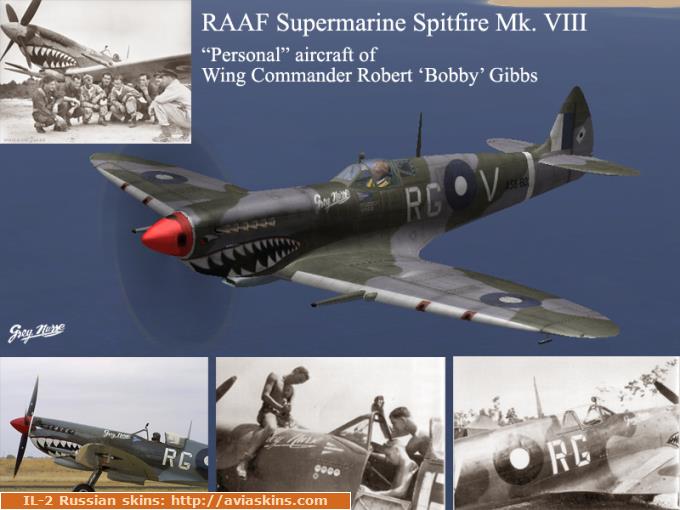 Supermarine Spitfire Mk. VIII Shark Attack!