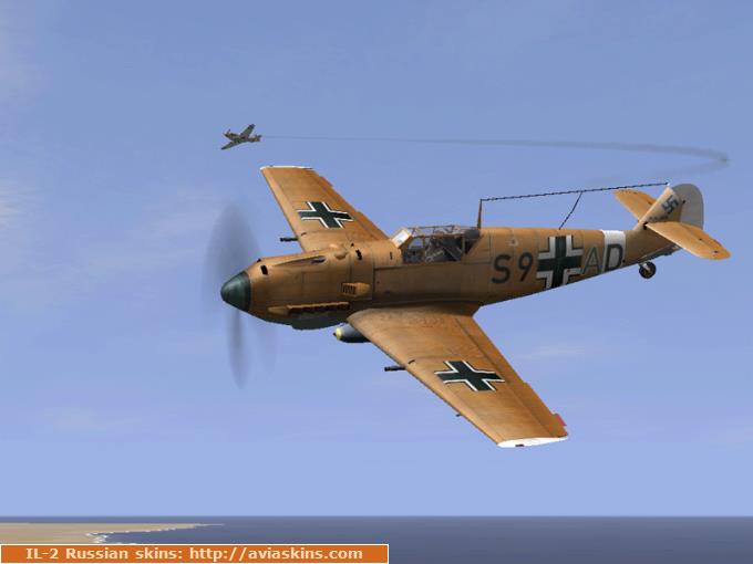 III Gruppe ZerstorerGeschader 1 "Wespe" #3