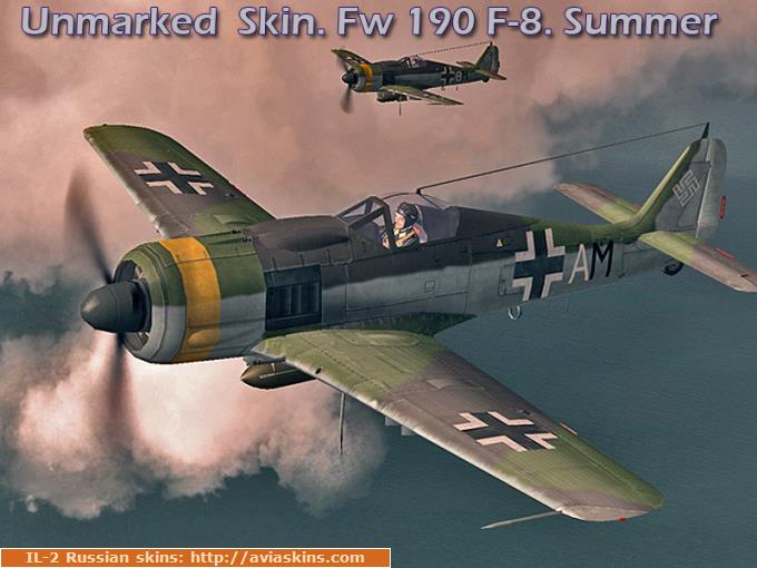 Unmarked  Skin. Fw 190 F-8. Summer